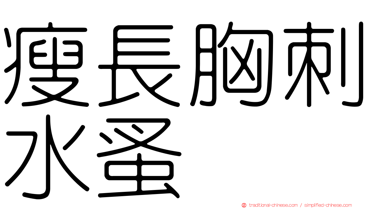 瘦長胸刺水蚤