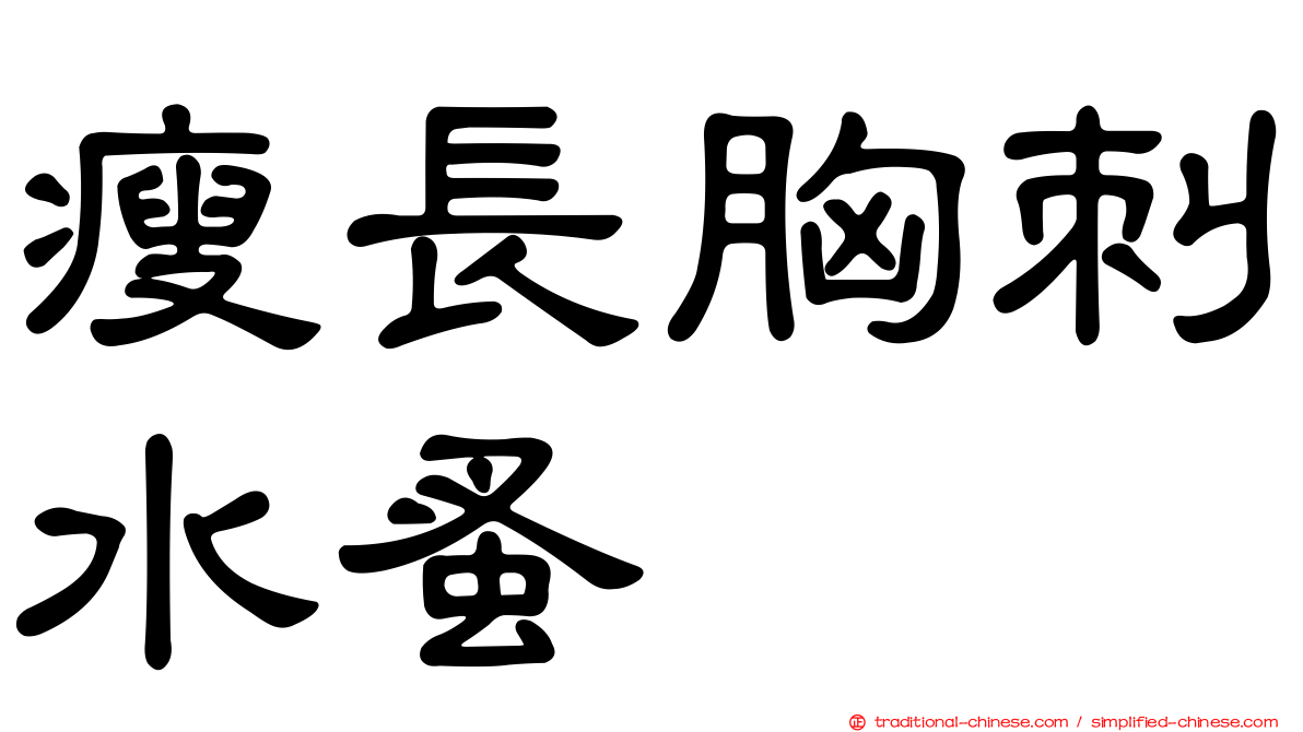 瘦長胸刺水蚤