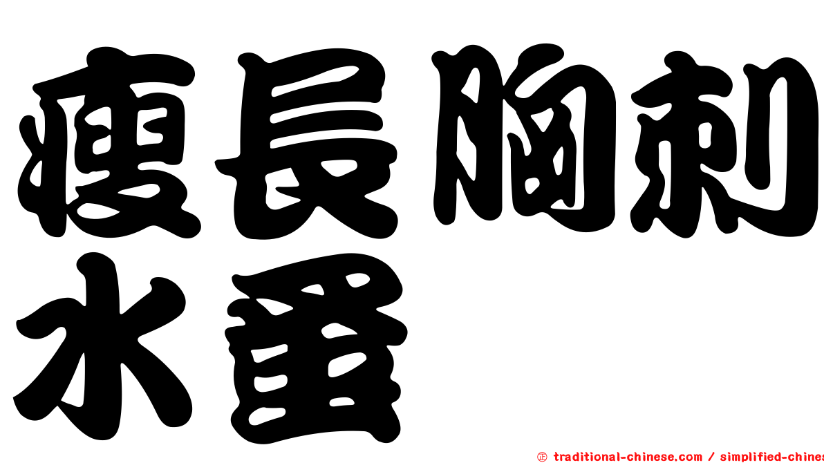 瘦長胸刺水蚤