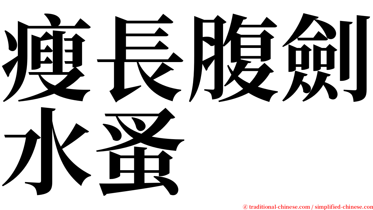 瘦長腹劍水蚤 serif font