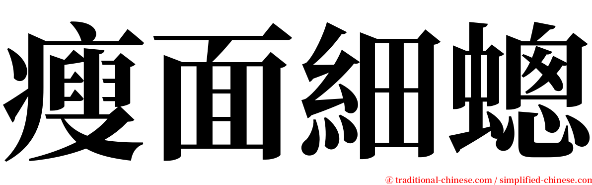 瘦面細蟌 serif font