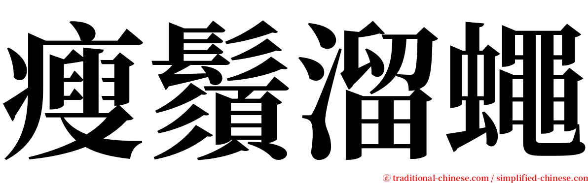 瘦鬚溜蠅 serif font