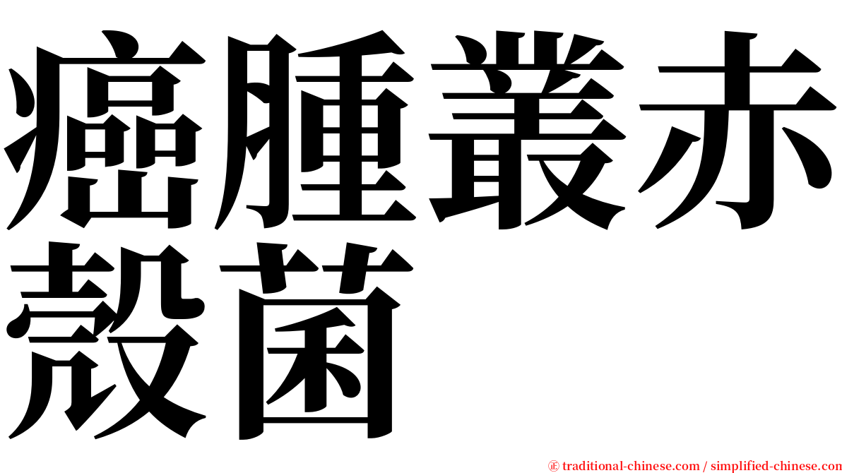 癌腫叢赤殼菌 serif font