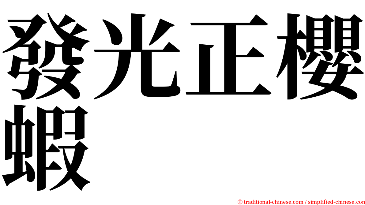 發光正櫻蝦 serif font