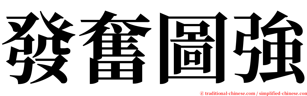 發奮圖強 serif font