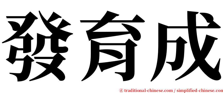 發育成 serif font