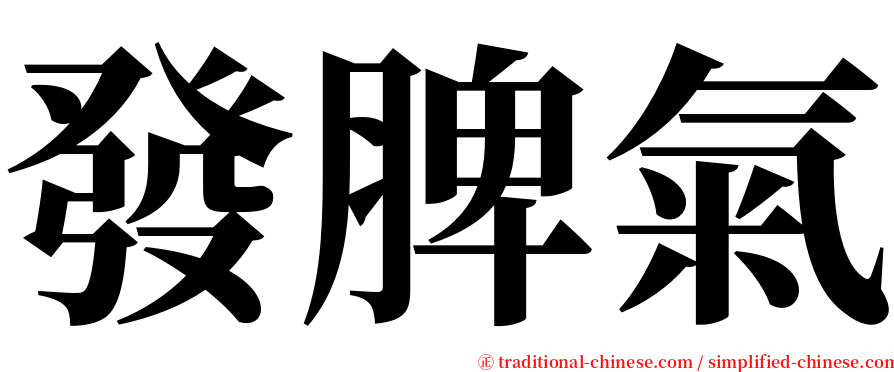 發脾氣 serif font