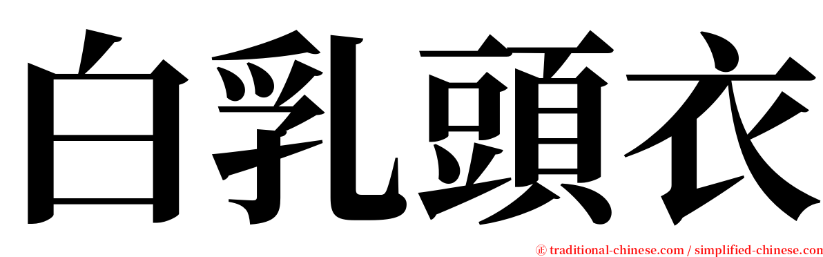 白乳頭衣 serif font