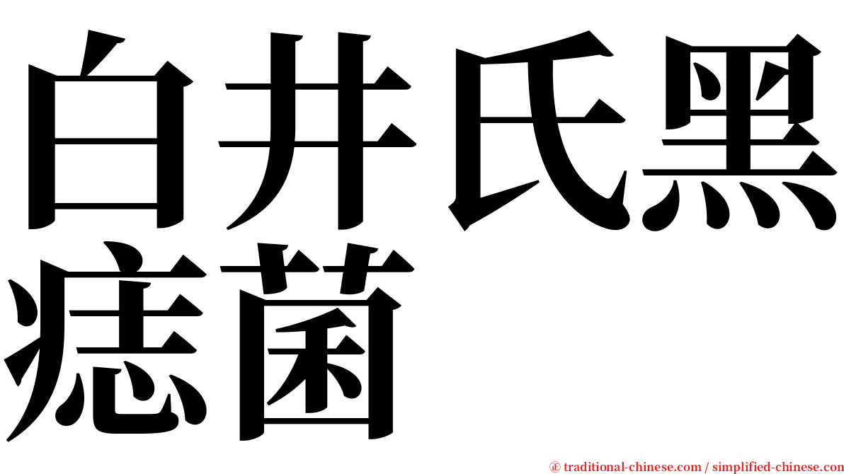 白井氏黑痣菌 serif font