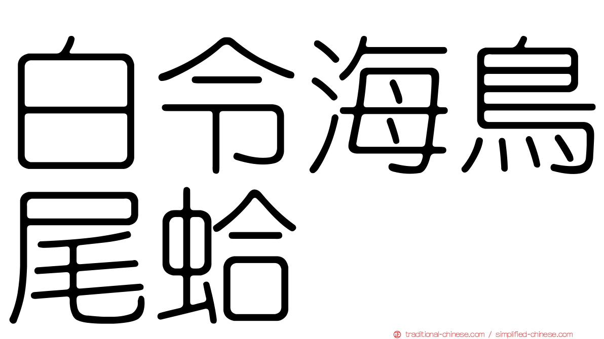 白令海鳥尾蛤