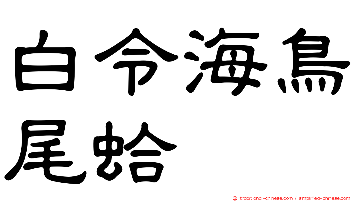 白令海鳥尾蛤