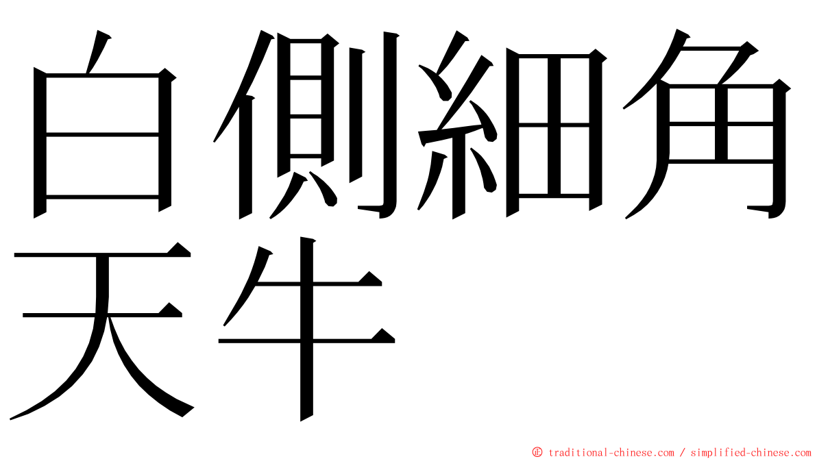 白側細角天牛 ming font