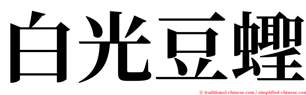 白光豆蟶 serif font