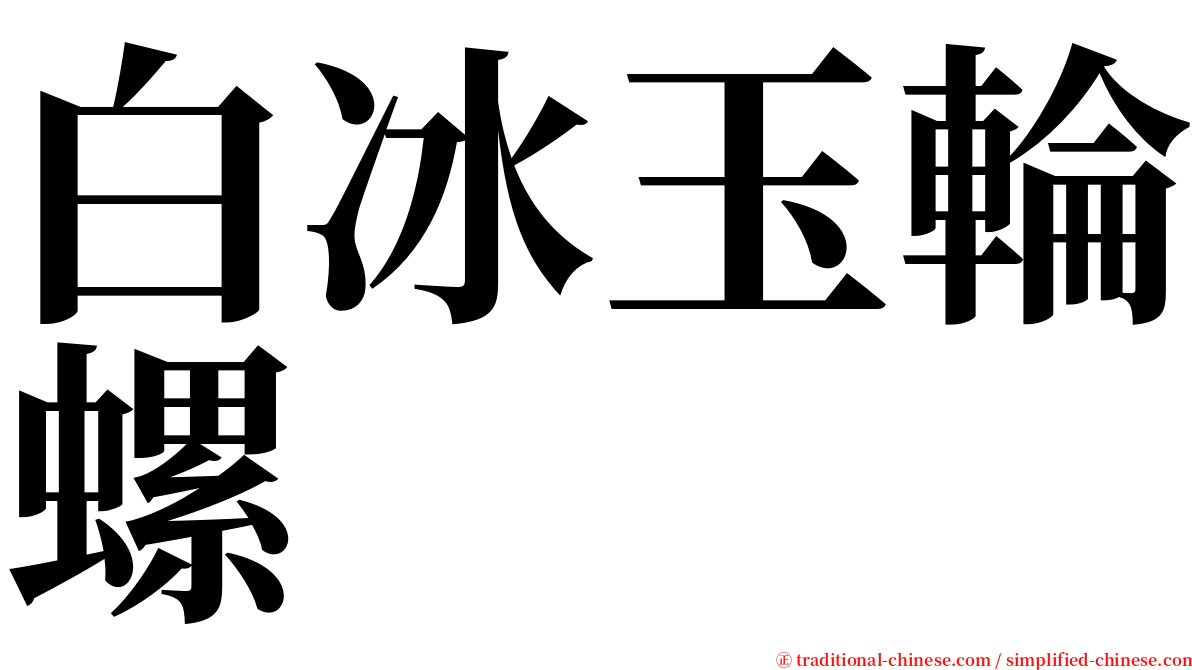 白冰玉輪螺 serif font