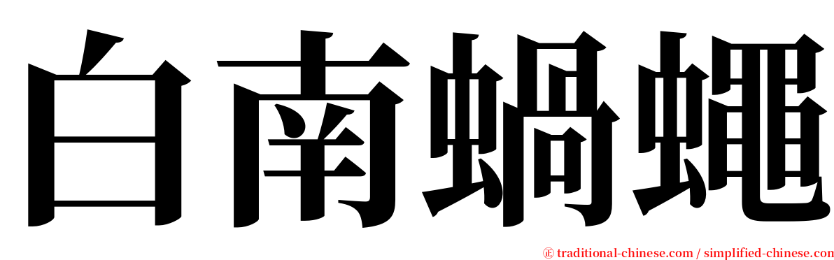 白南蝸蠅 serif font