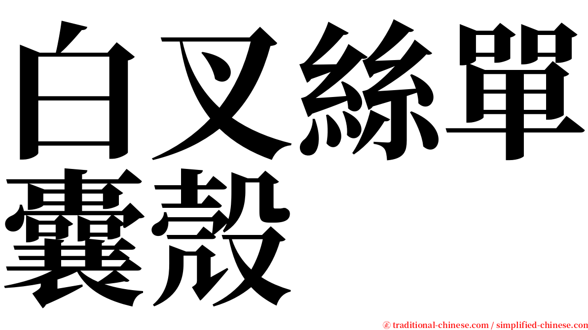 白叉絲單囊殼 serif font