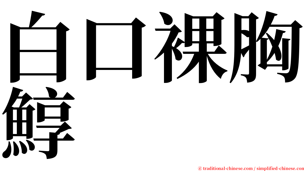 白口裸胸鯙 serif font