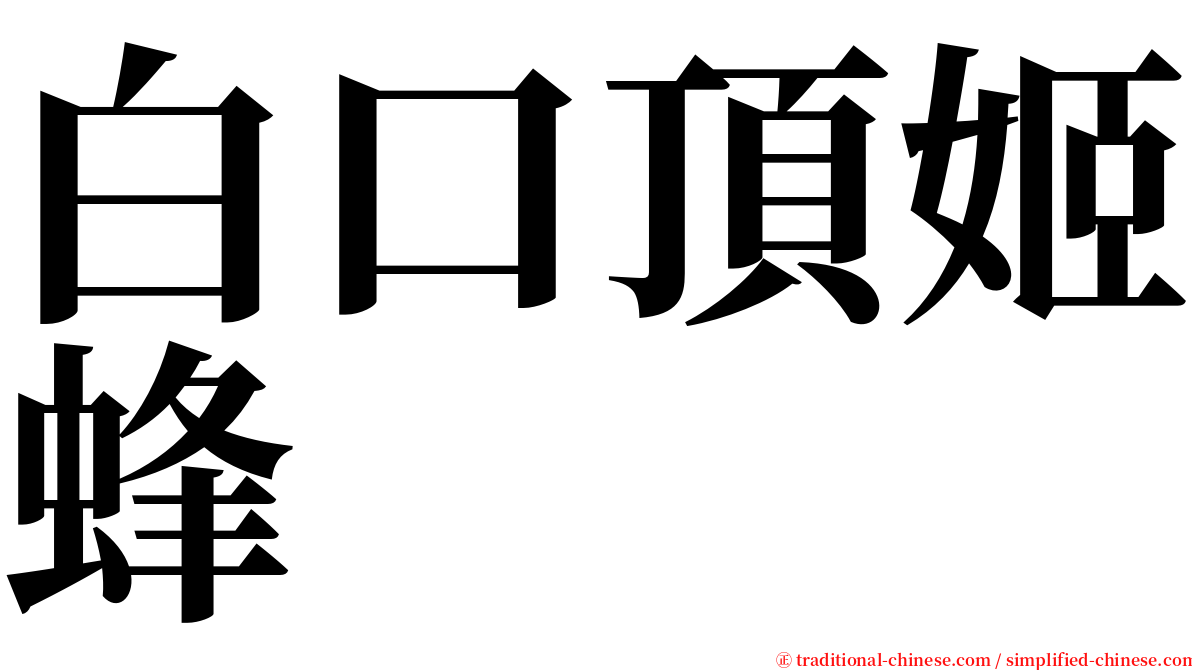 白口頂姬蜂 serif font