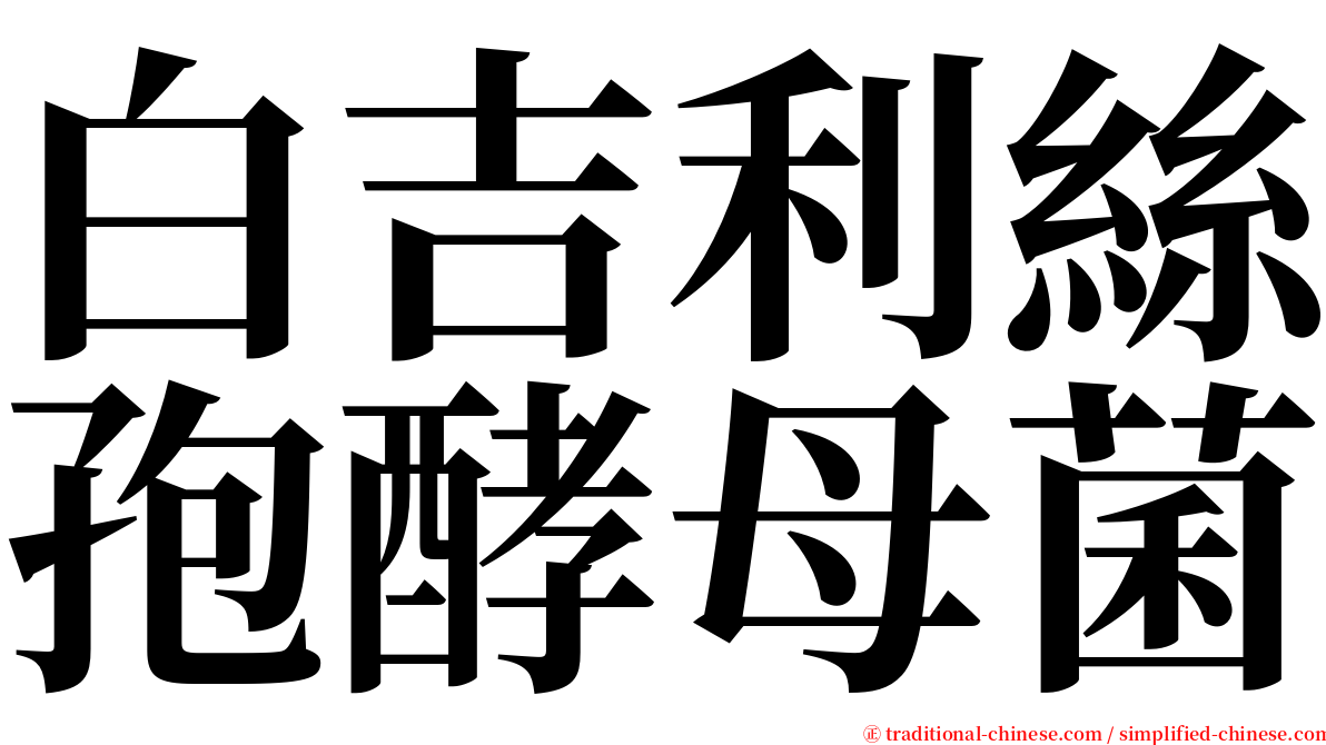 白吉利絲孢酵母菌 serif font