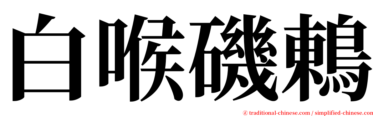 白喉磯鶇 serif font