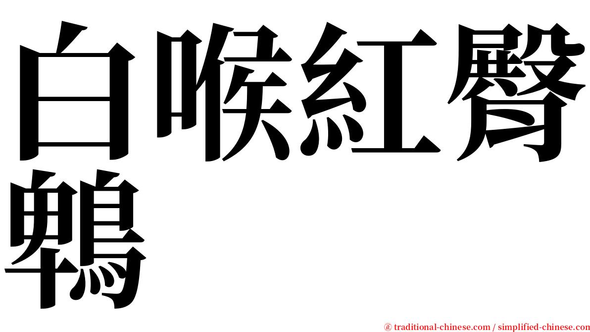 白喉紅臀鵯 serif font