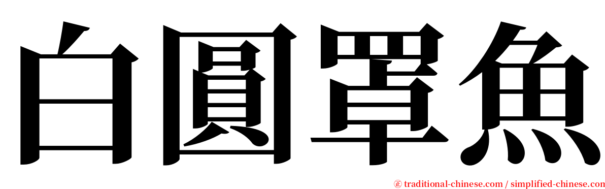 白圓罩魚 serif font