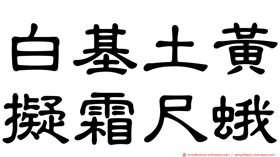 白基土黃擬霜尺蛾