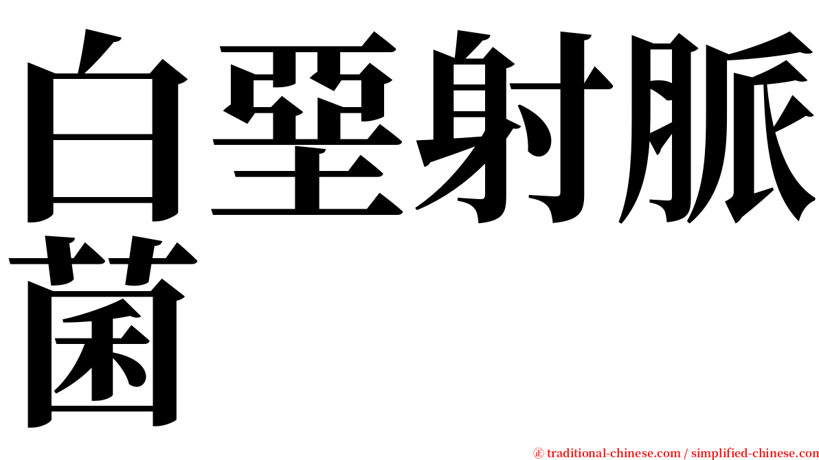 白堊射脈菌 serif font