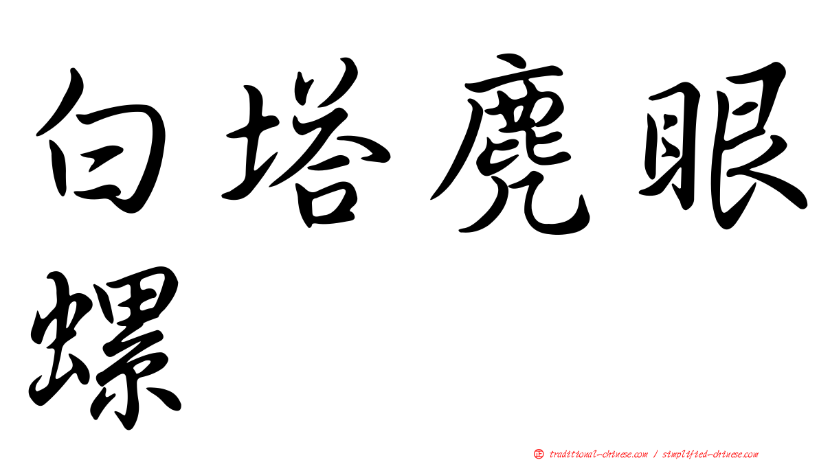 白塔麂眼螺