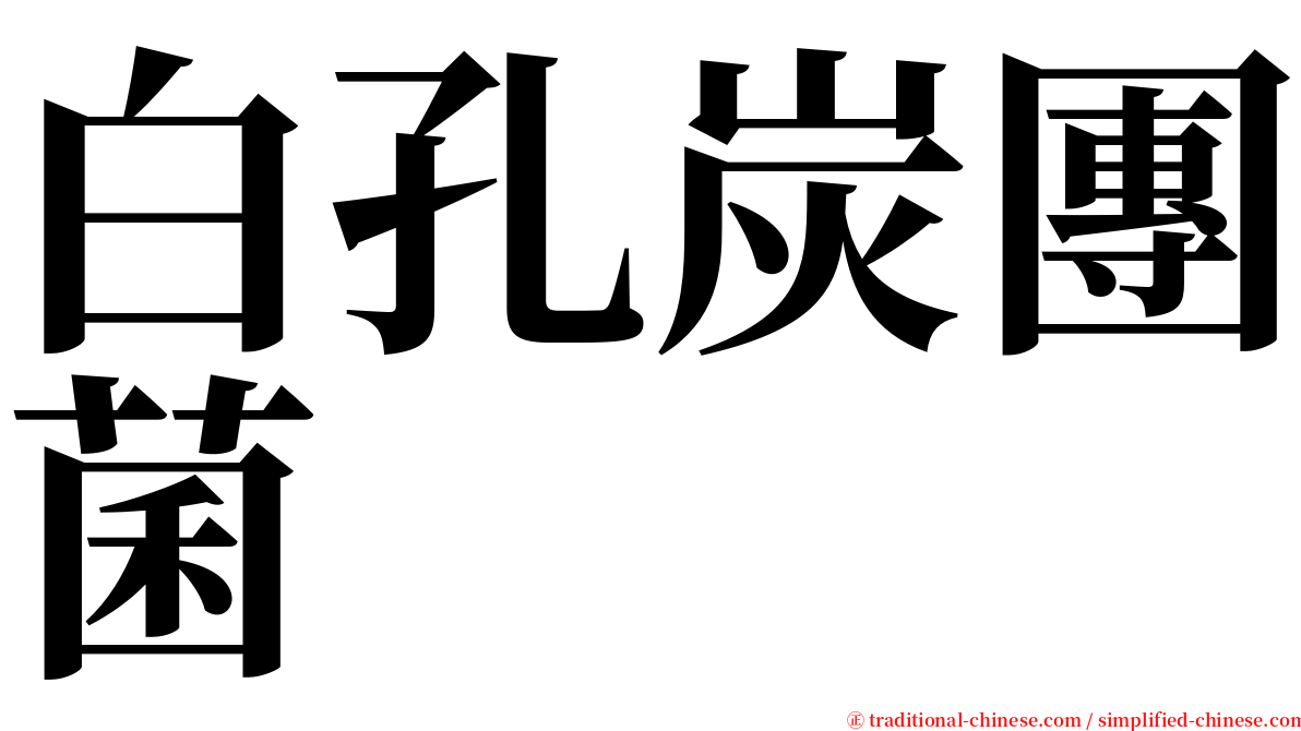 白孔炭團菌 serif font