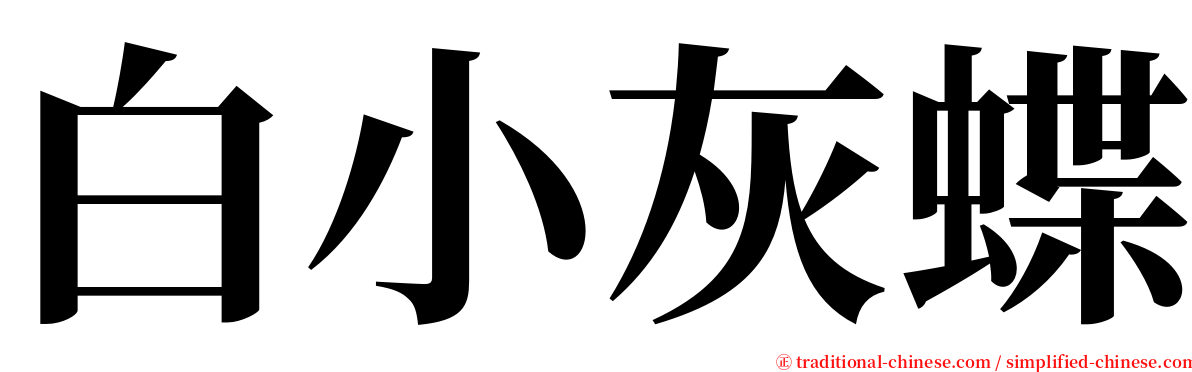 白小灰蝶 serif font