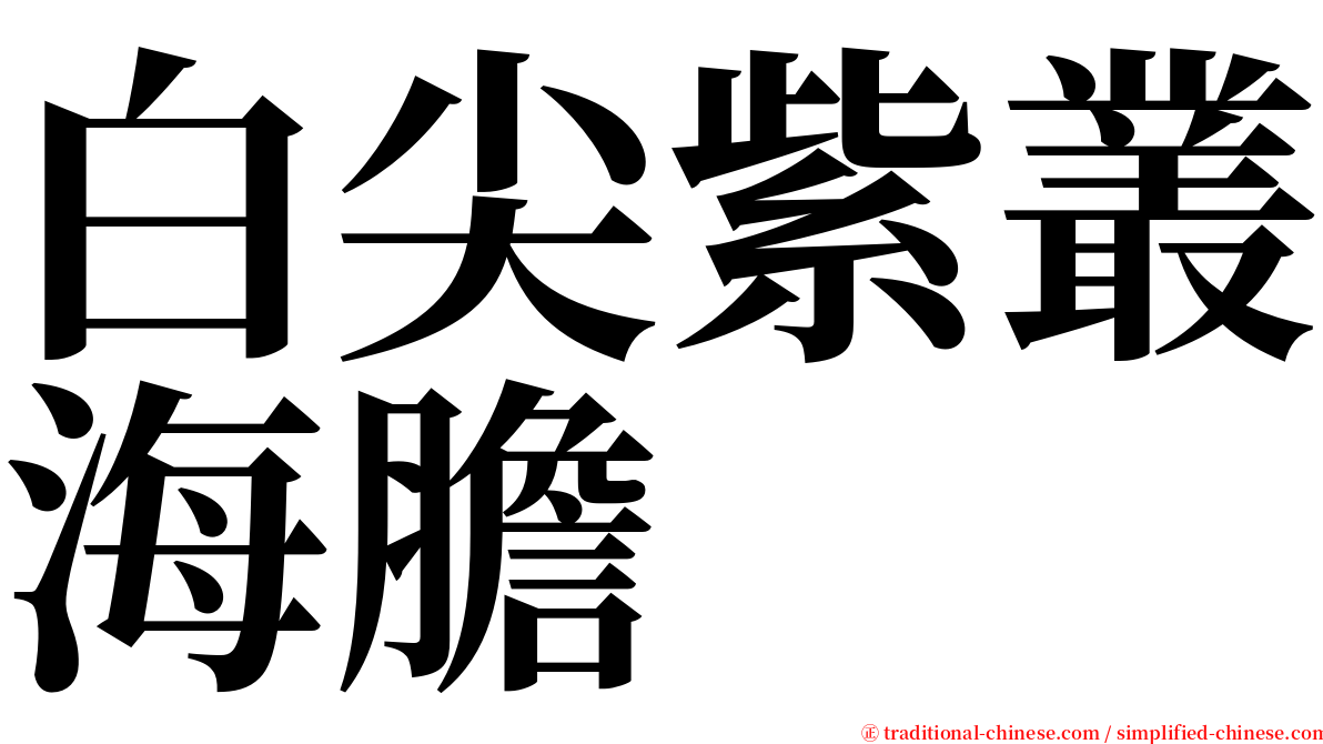 白尖紫叢海膽 serif font