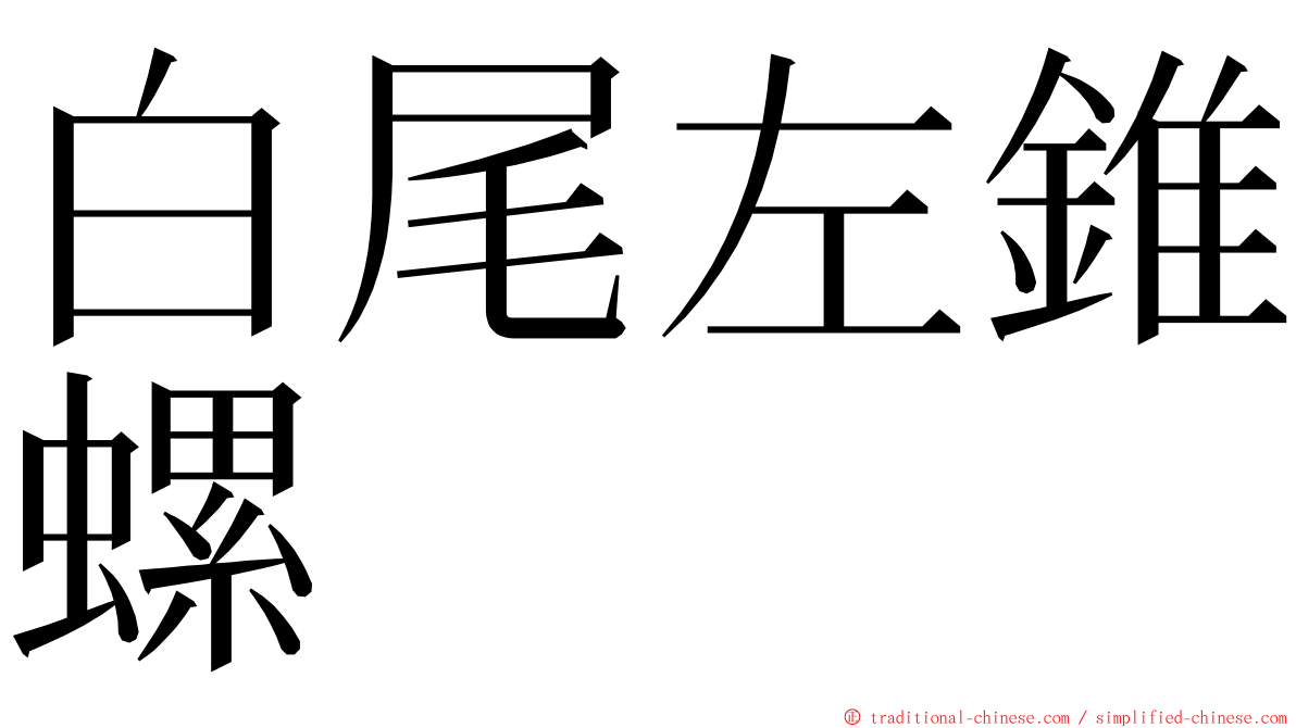 白尾左錐螺 ming font