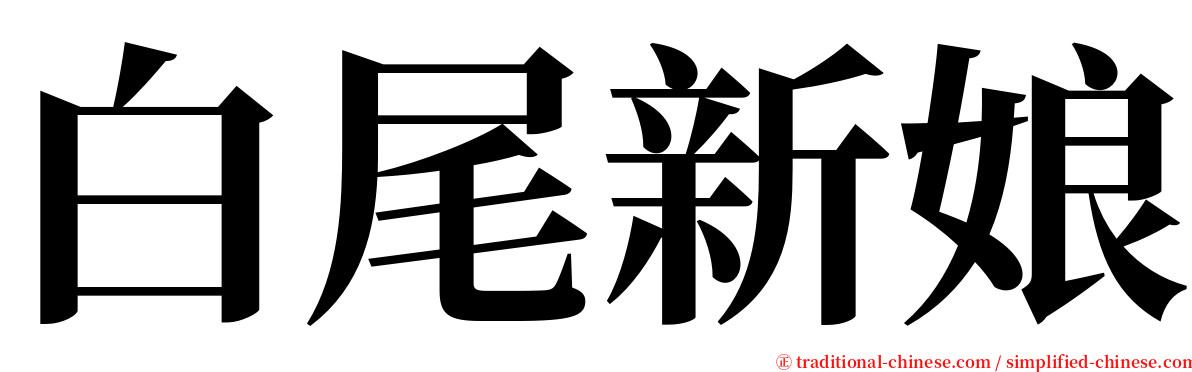 白尾新娘 serif font