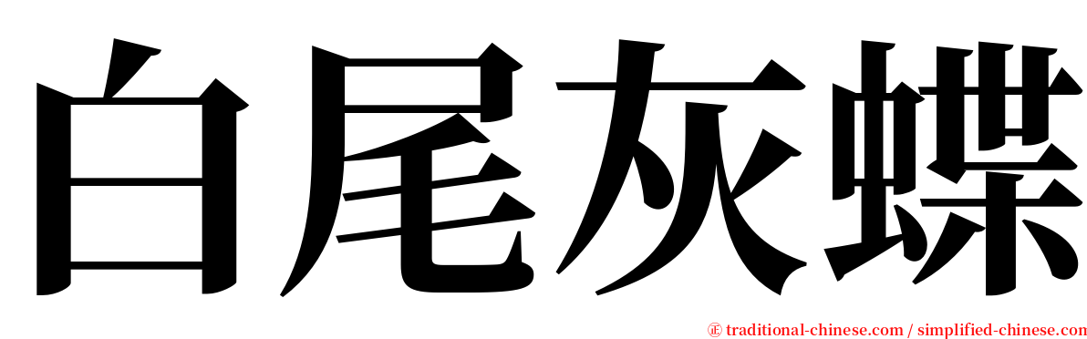 白尾灰蝶 serif font