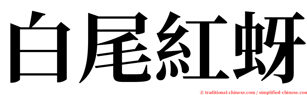 白尾紅蚜 serif font