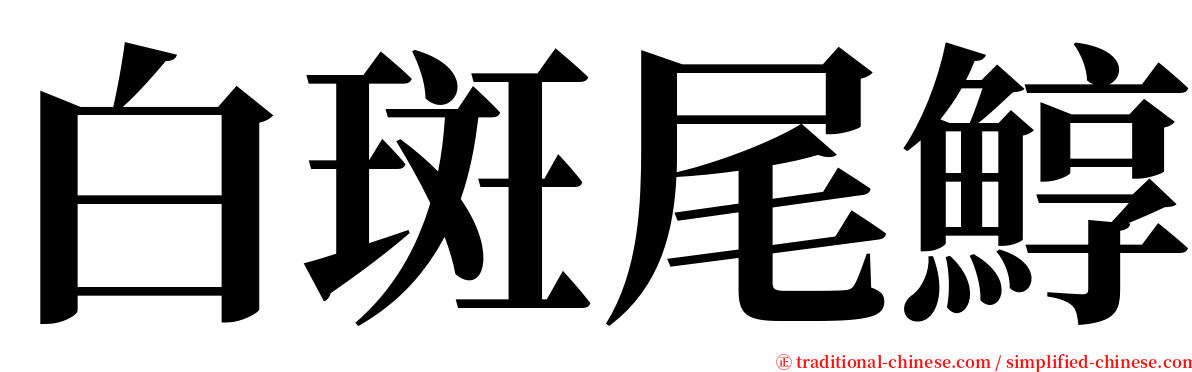 白斑尾鯙 serif font