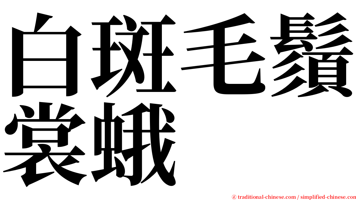 白斑毛鬚裳蛾 serif font