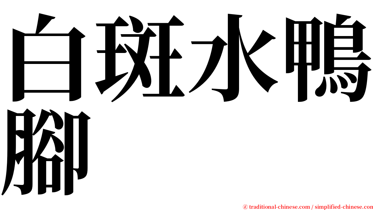 白斑水鴨腳 serif font