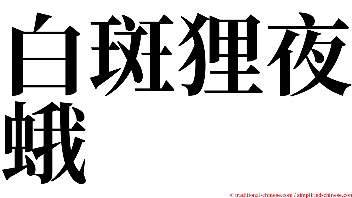 白斑狸夜蛾 serif font