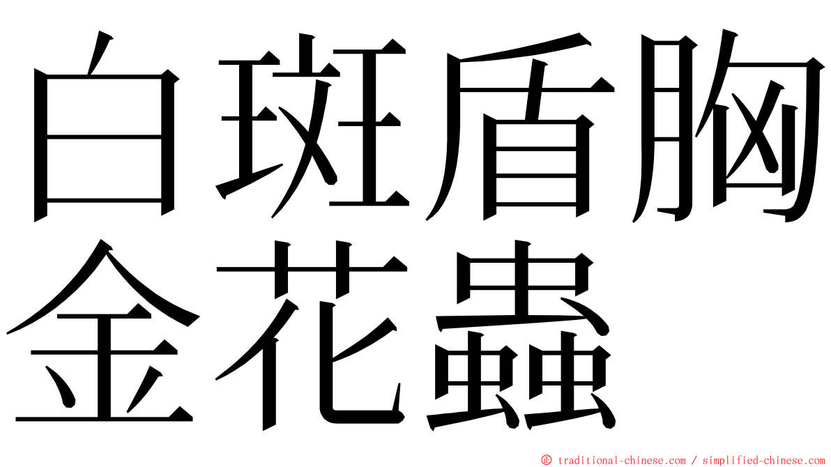 白斑盾胸金花蟲 ming font