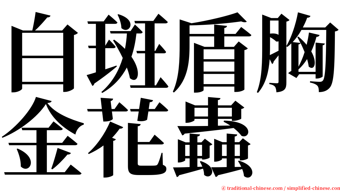 白斑盾胸金花蟲 serif font