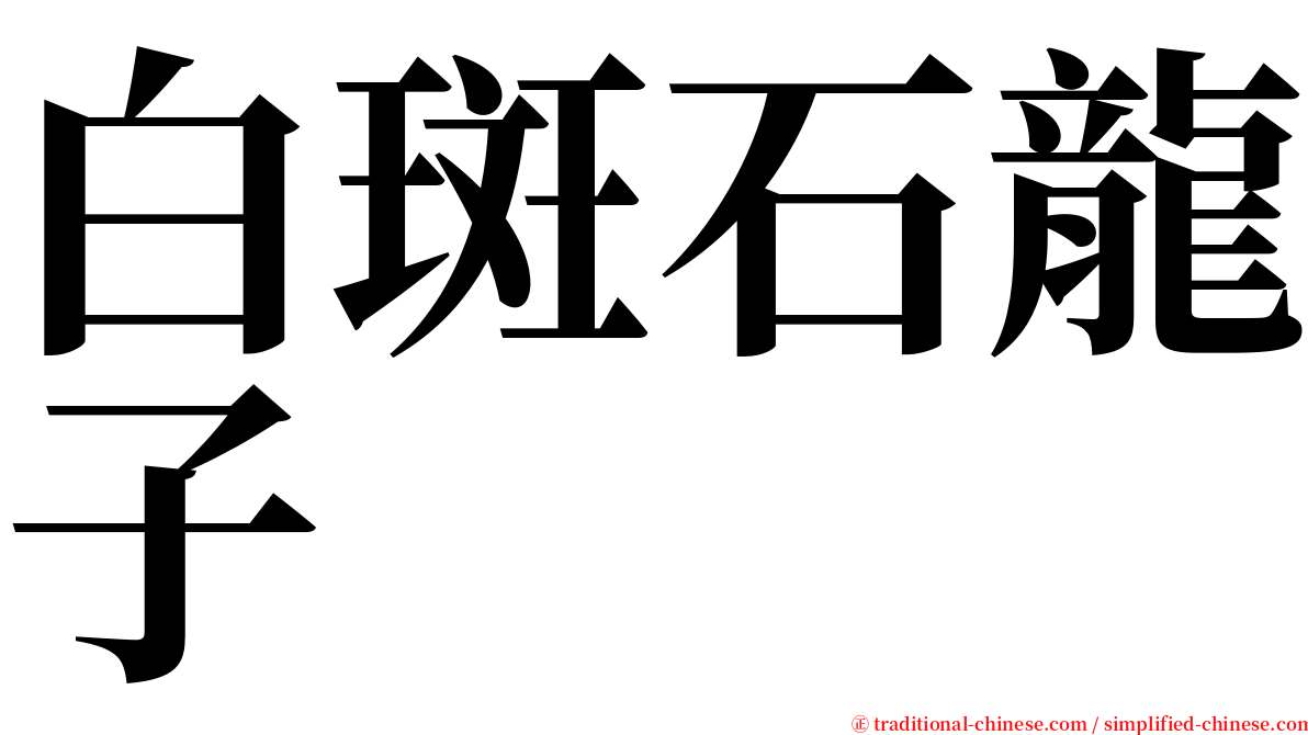 白斑石龍子 serif font