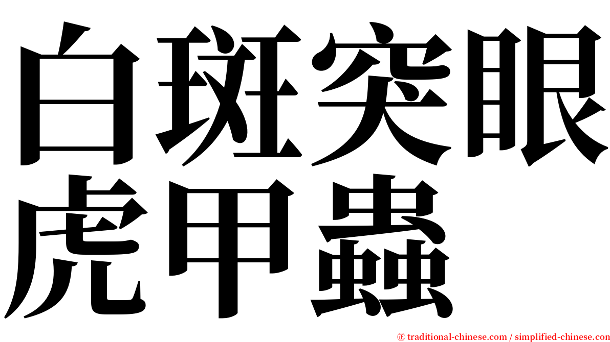 白斑突眼虎甲蟲 serif font