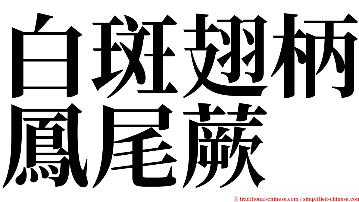 白斑翅柄鳳尾蕨 serif font