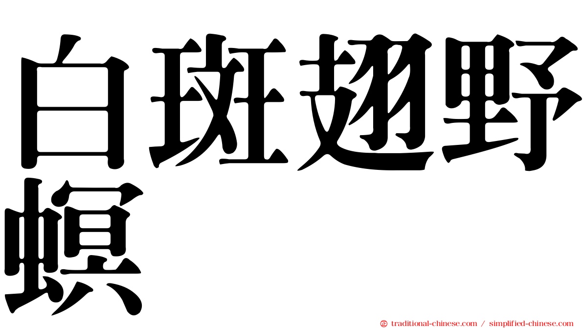 白斑翅野螟