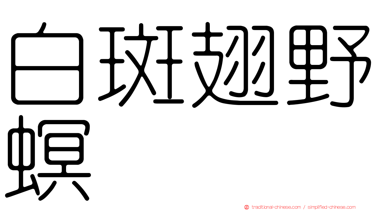 白斑翅野螟