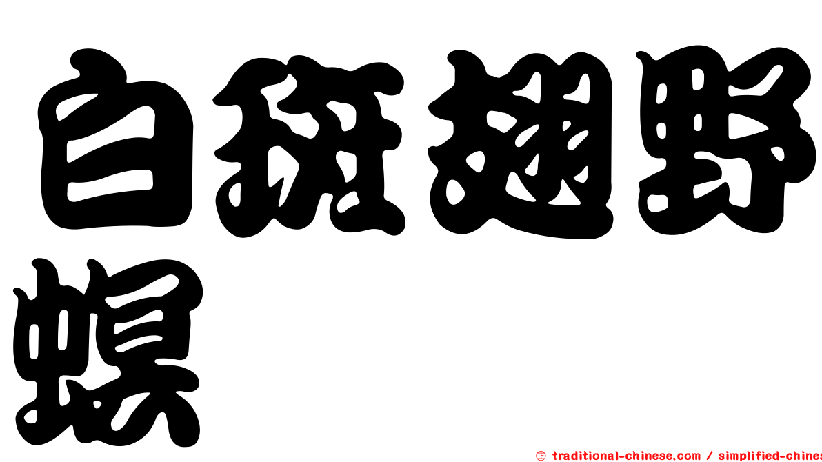 白斑翅野螟