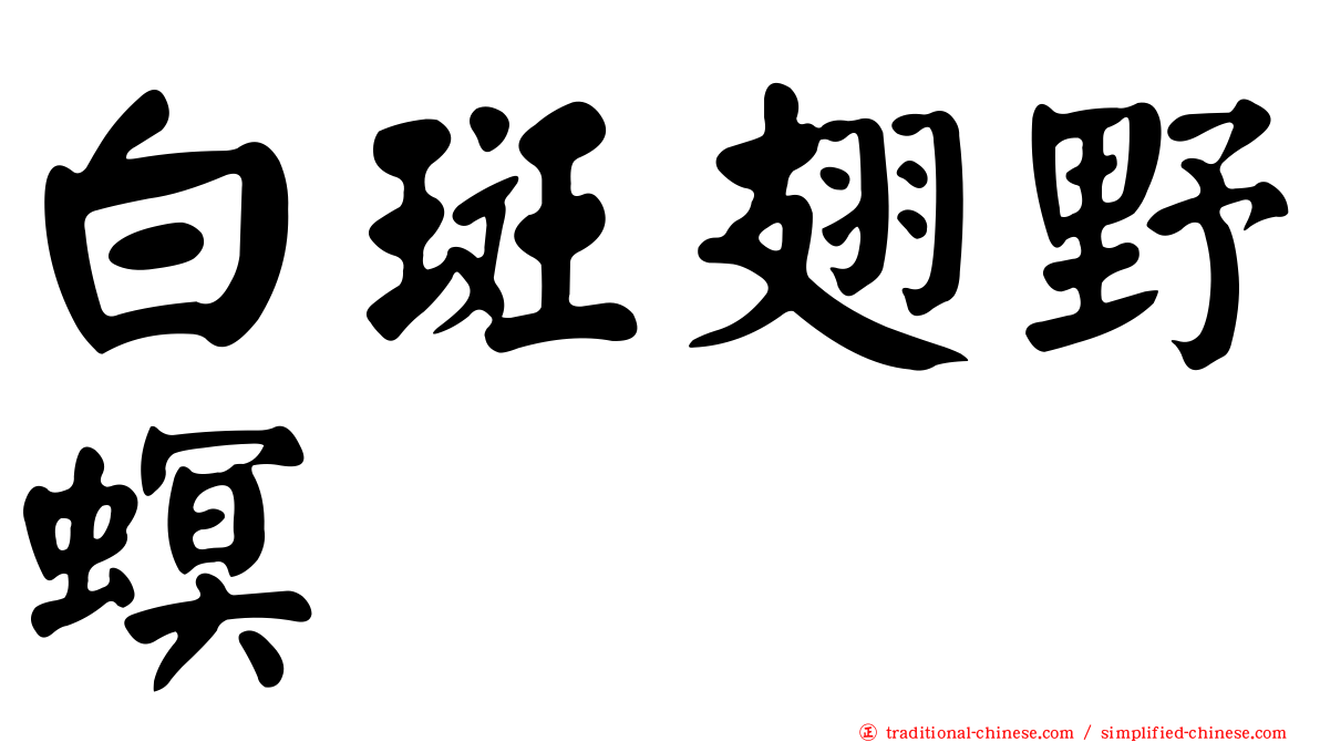 白斑翅野螟