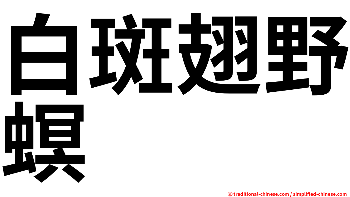 白斑翅野螟